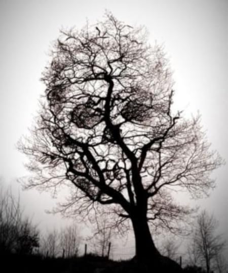 Commercial Photography