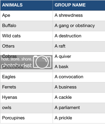  photo screen-shot-2019-07-05-at-9-23-14-am_zpsx1yb64ta.png