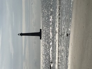 South Carolina, Charleston, Charleston Outdoor Adventures, Morris Island Lighthouse, dolphin tours, eco adventures near Charleston, oyster bed