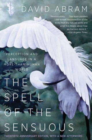 Ancestor Worship with Mother Nature: How Indigenous Death Rituals Illuminate the Web of Life
