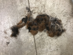 QhnkRRcgTJ2l3kv8mN2xnA