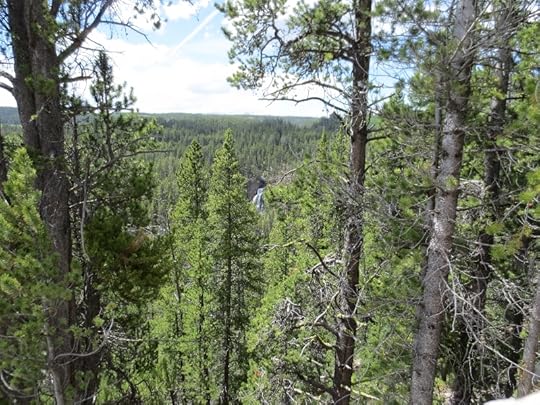 Crystal Falls in the trees