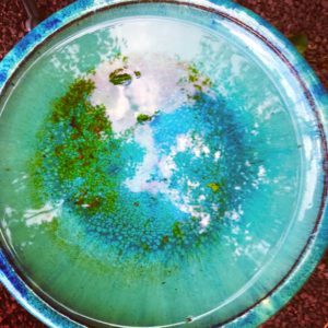 Becoming An Author: Reflecting on My Second Act #author #career #writing 