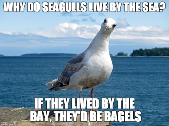 Image result for seagull bagel meme