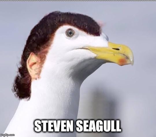Image result for steven seagull