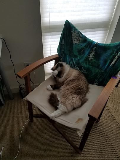 Cordelia on Chair.jpg