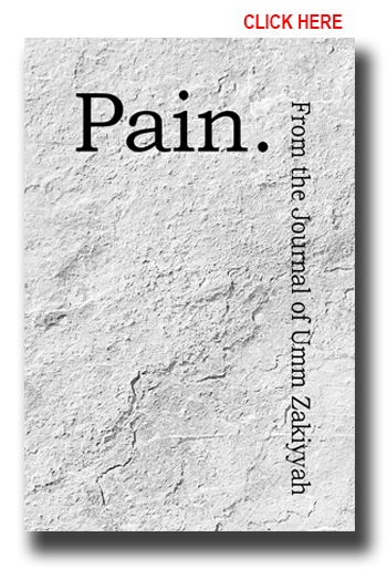 cover of Pain. From the Journal of Umm Zakiyyah. Gray stone background
