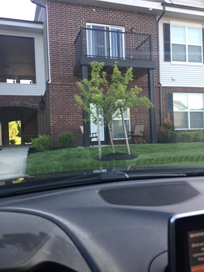 It’s not raining! Yay!