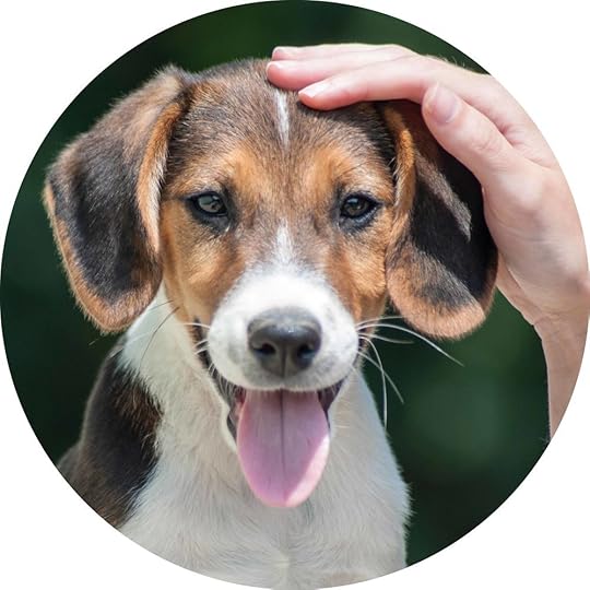 Photo Credit: Csaba Talaber