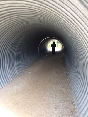 down the rabbit hole