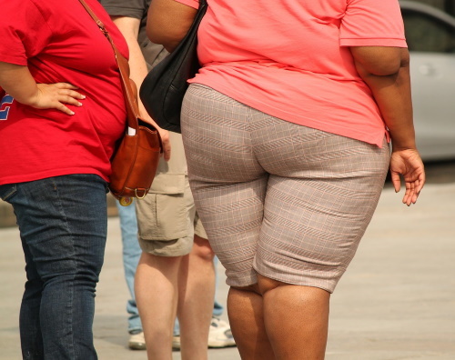 thick-373064_1280