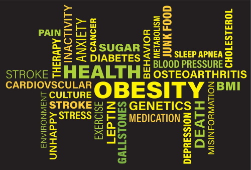 obesity-3217137_1280