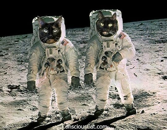 cat-astronauts-apollo-11-moon-landing