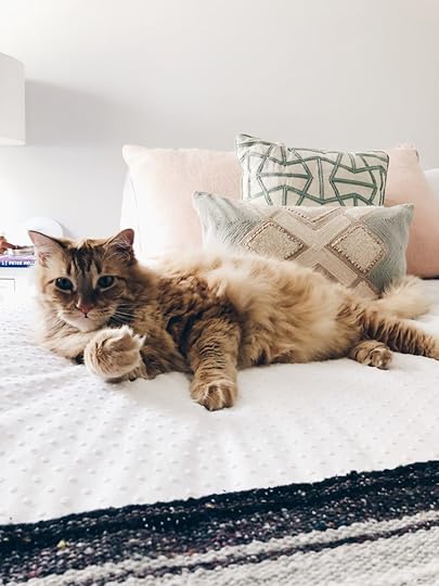 Let It Be Sunday, 231!