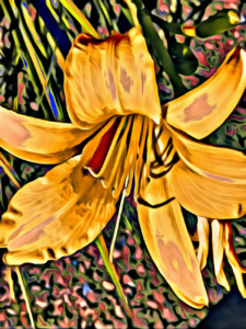 Interview with Author Daniela Petrova, #Interview #Books, #DanielaPetrova 