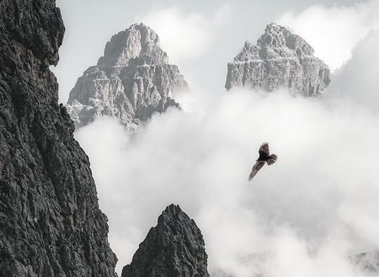 Eagle soaring through clouds, soar through writing
