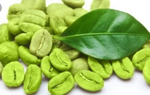 Screenshot-2019-07-25-03-41-06-1