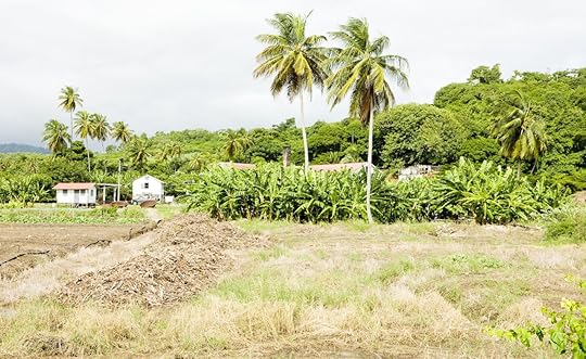 River Antoine Distillery
