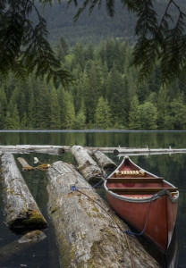 Canoe in the Woods