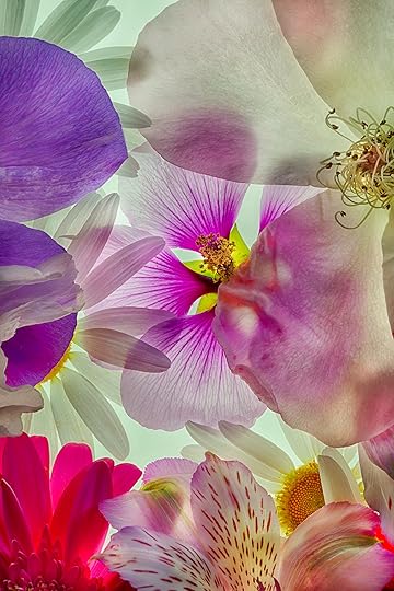 Mallow and Friends © Harold Davis