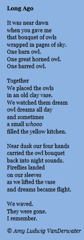 Amy Ludwig VanDerwater's Blog