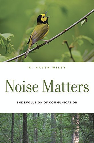 Noise Matters: The Evolution of Communication (English Edition)