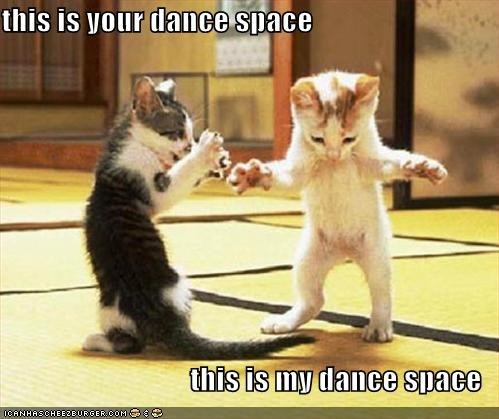 Image result for this is your dance space