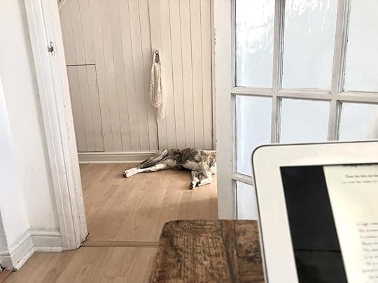 Photo of the view from a dining table showing a part-visible dog lying on the hallway floor