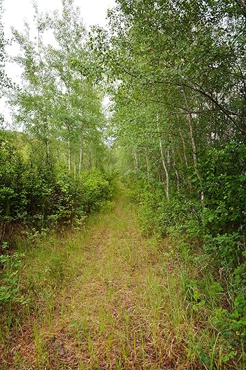 The path leading back to my car. I was so glad to see it, you have no idea.