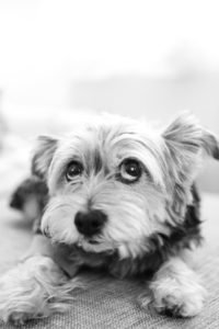 Money blocks are complicated. Here's why.