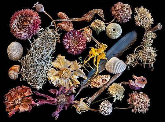 Collection © Harold Davis