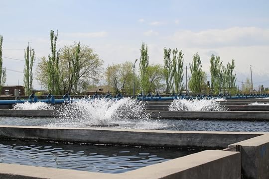 Looks clean but what's in the food? Image courtesy of Narek75.