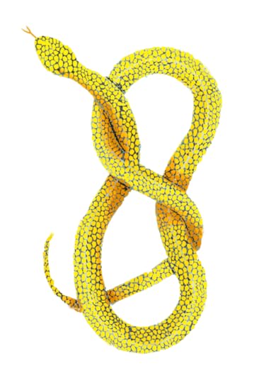 Arlo Knott snake