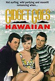 Gidget Goes Hawaiian.jpg