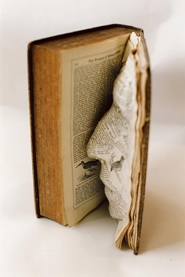 Book & Paper Art by the Unicorn Diaries