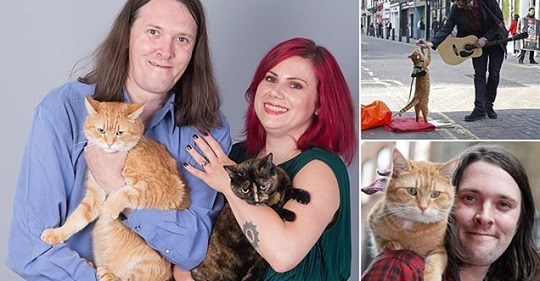 james-bowen-streetcat-bob-engagement