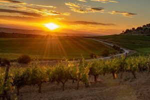 Bob Holmes Travel Photography from Spain