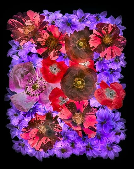 Flower Block L-Channel Inversion © Harold Davis