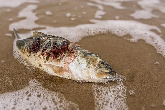 Plastics May Be Wreaking Havoc on Your Health