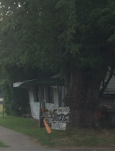 veggie stand