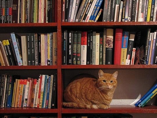 Image result for books and cats