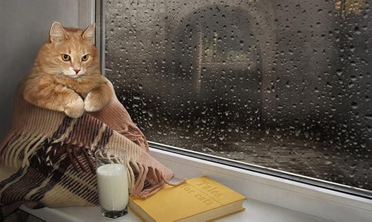 Image result for books and cats