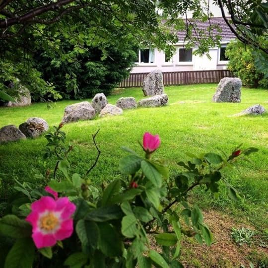 Roses bloom in Aviemore stone circle
