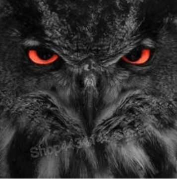 Screenshot-2019-08-06-02-58-53-1