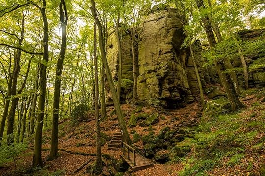 Hiking Trail in the Mullerthal forests, Luxembourg
