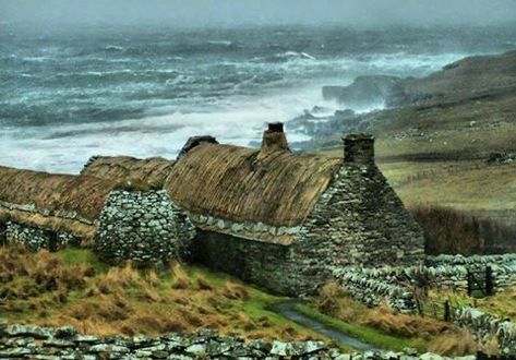 Cold Earth (Shetland Island, #7) by Ann Cleeves
