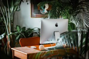 Digital nomad, Remote werken, Ondernemerschap, ondernemen