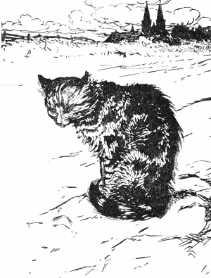 Drawing by Arthur Rackham
