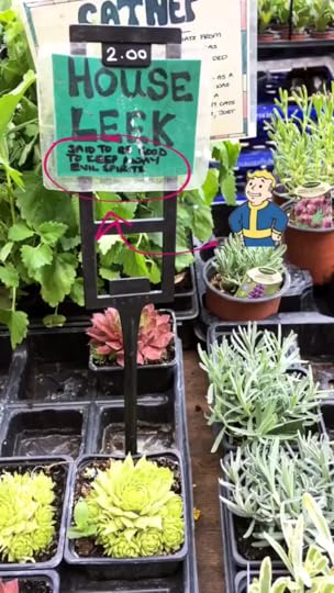 plant-stall-london-philippa-moore