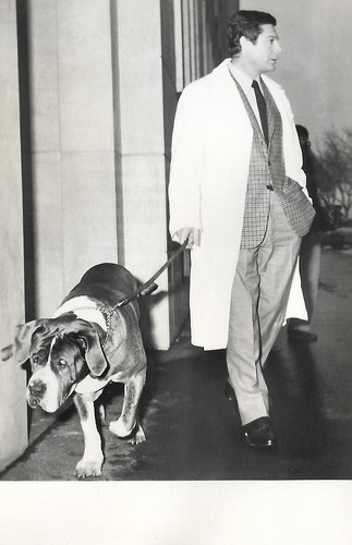 Marcello Mastroianni